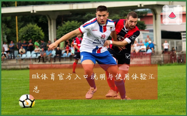 mk体育官方入口说明与使用体验汇总